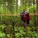A child pointing at the forest with her parents, all standing on a suspended walkway at Redwoods Treewalk